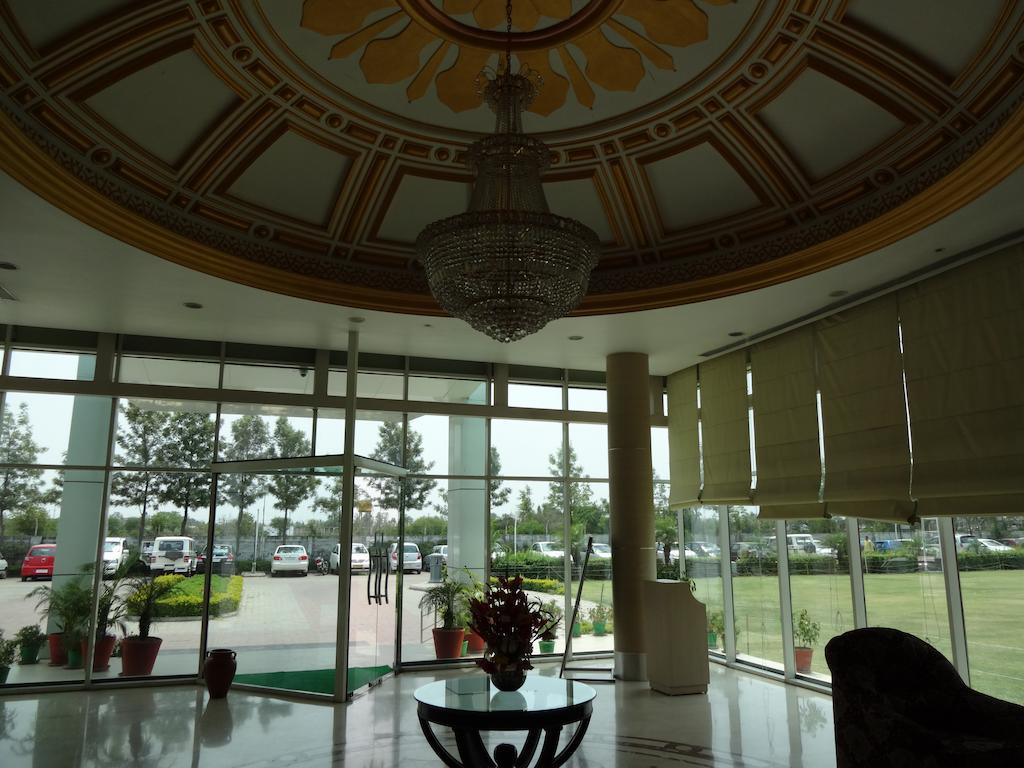 Amer Greens Dip Luaran gambar
